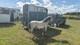 Ifor Williams Twin Axle. Single Horse Trailer