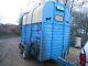 Twin Axle Rice Horse Box Trailer Project Camper Shop Catering Prosecco Beer Bar