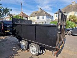 Twin axle Trailer with Hinged Gate and Auto Brake System