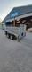 Used Wessex Wg84t 8 X 4 2600kg Gvw Twin Axle Goods Ramp Tailgate, Mesh Sides