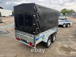 REMORQUE FOURGON 10 × 5 PIEDS DOUBLE ESSIEU NON FREINÉE 750 KG SUSPENSION AL-KO 3 m × 1,5 m