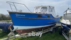 Remorque de bateau à double essieu, robuste, comprend un bateau de pêche Colvic Fisher 20